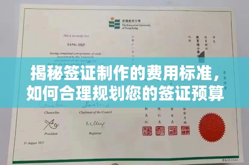 洪江揭秘签证制作的费用标准，如何合理规划您的签证预算？