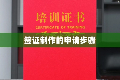 洪江签证制作的申请步骤