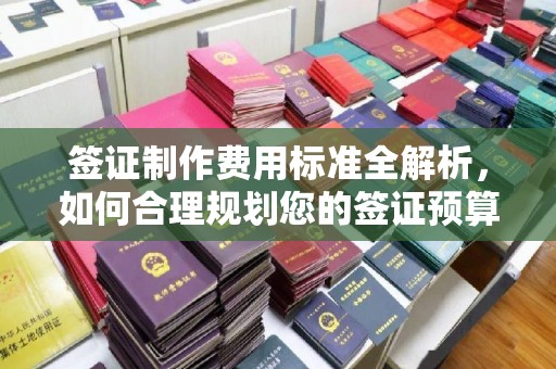 洪江签证制作费用标准全解析，如何合理规划您的签证预算？